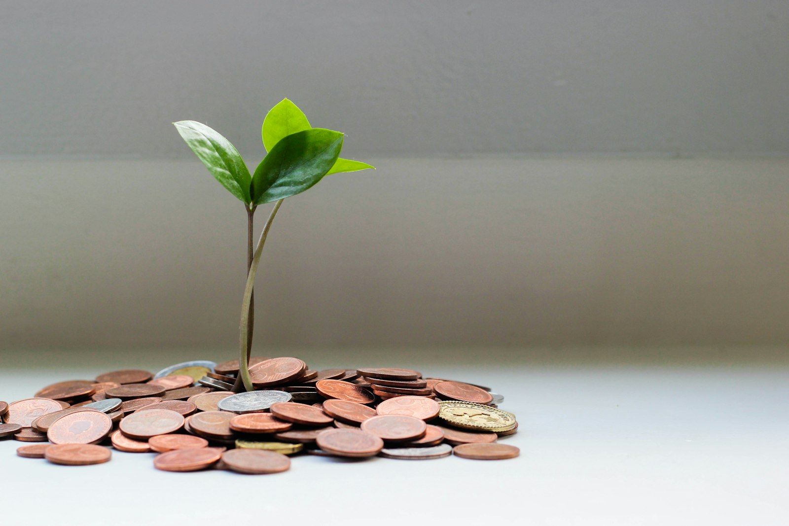 Send money to anyone, anywhere.